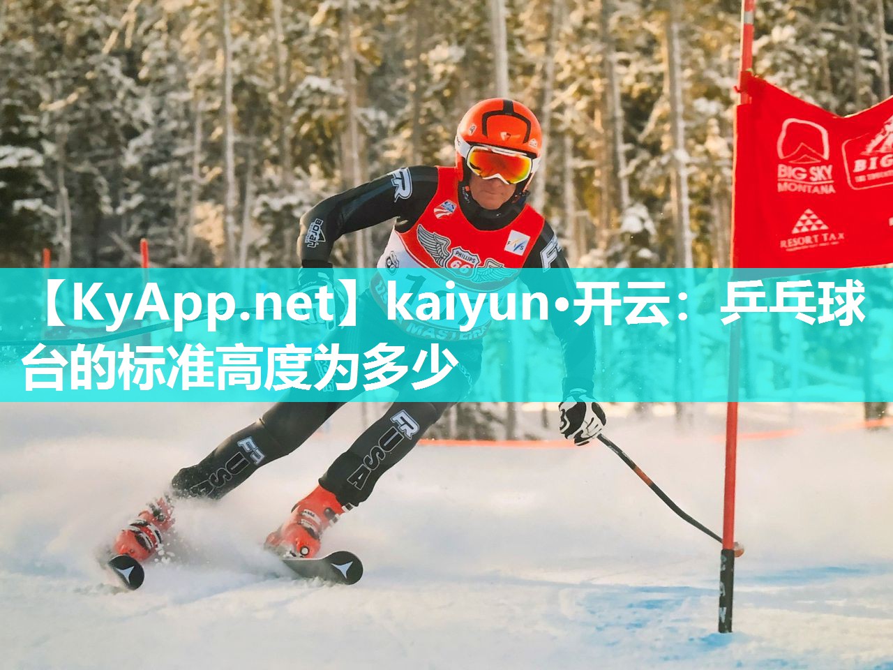 kaiyun·开云：乒乓球台的标准高度为多少