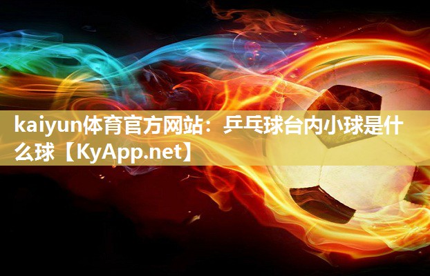 kaiyun体育官方网站：乒乓球台内小球是什么球