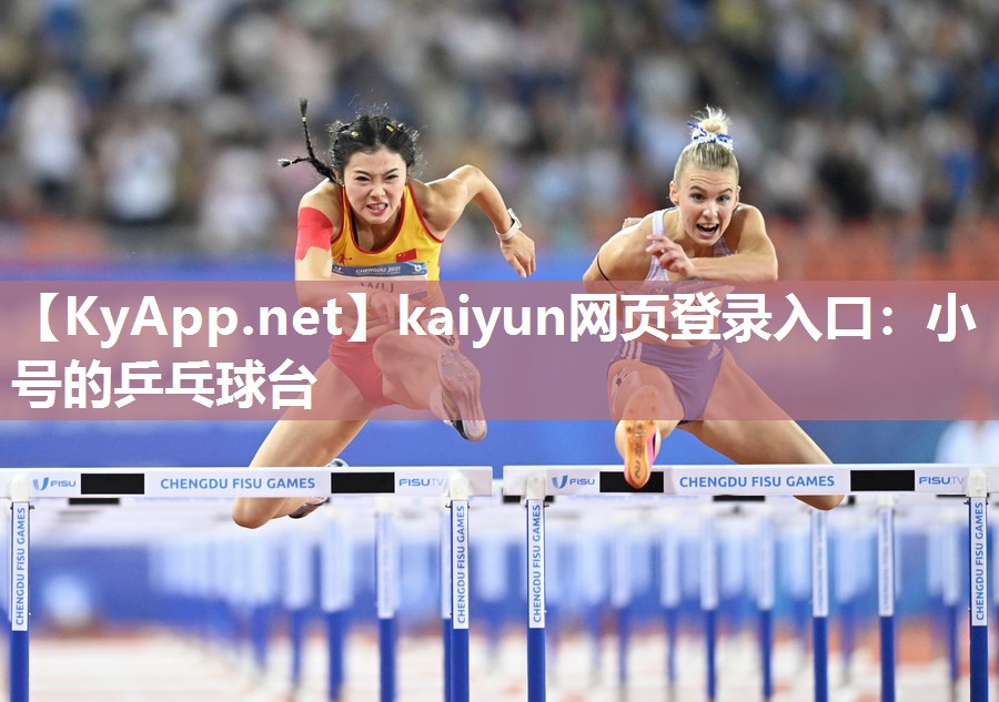 kaiyun网页登录入口：小号的乒乓球台