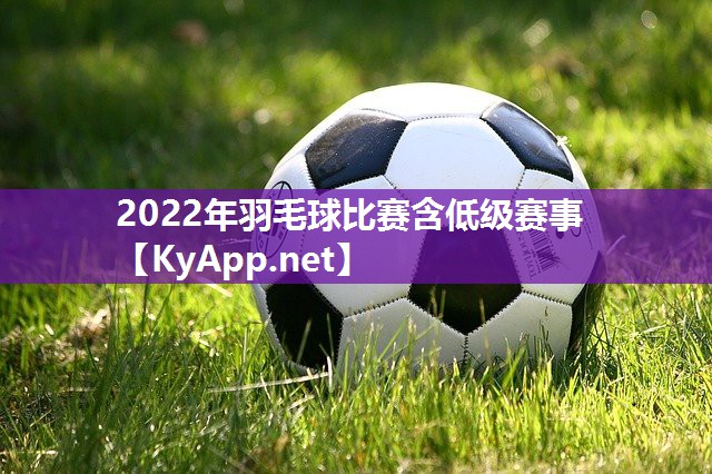 2022年羽毛球比赛含低级赛事