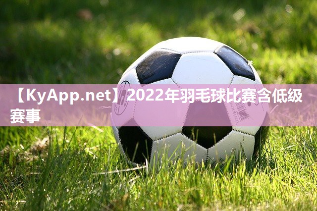 2022年羽毛球比赛含低级赛事