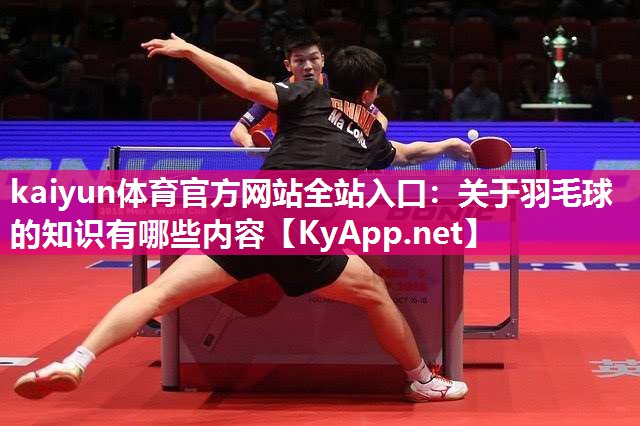 关于羽毛球的知识有哪些内容